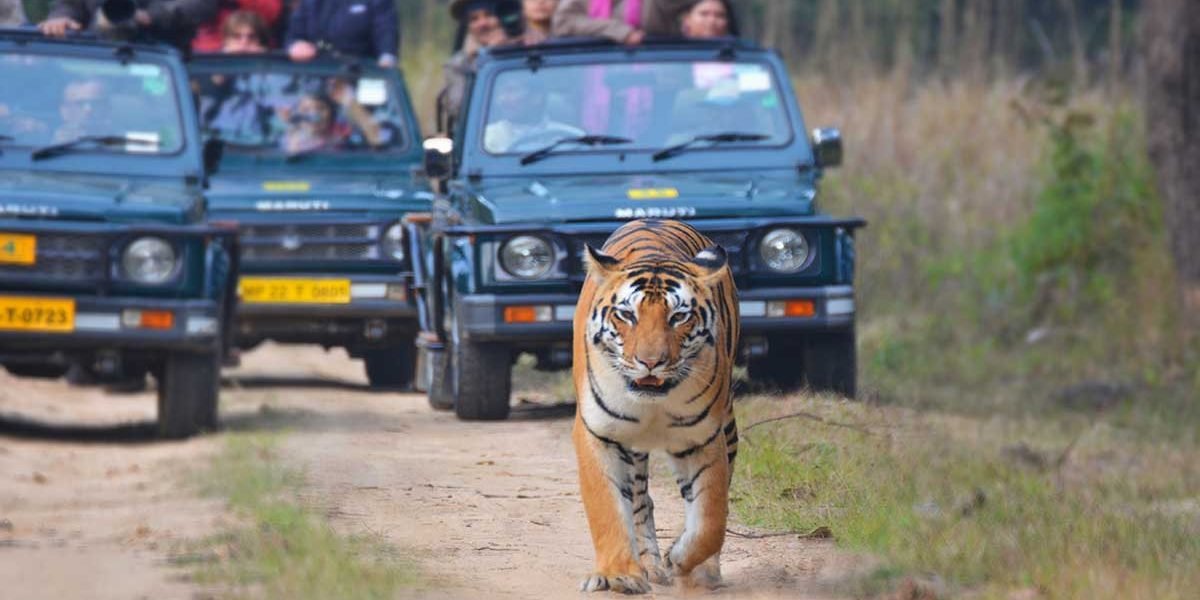 kanha-national-park